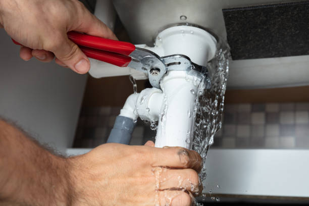 Best Fire Damage Restoration  in La Cresta, CA