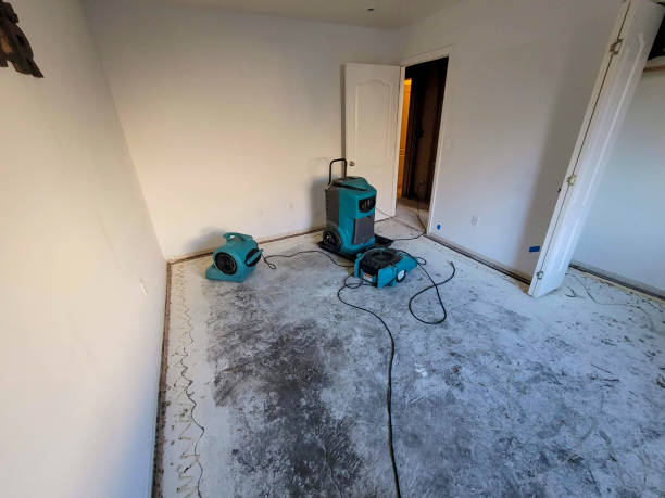 Best Ceiling water damage repair  in La Cresta, CA