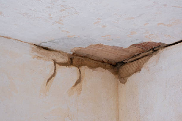 Best Flood damage cleanup  in La Cresta, CA