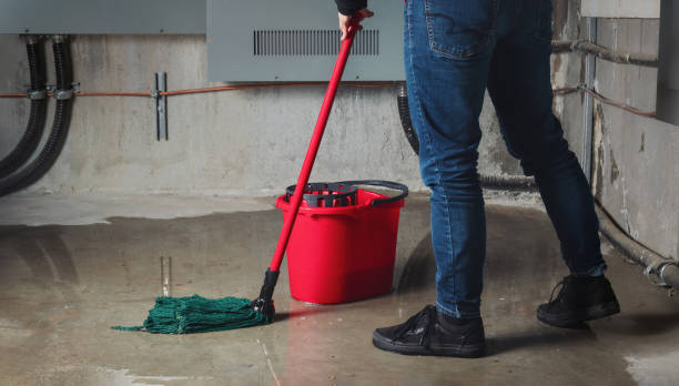 Best Water damage restoration near me  in La Cresta, CA