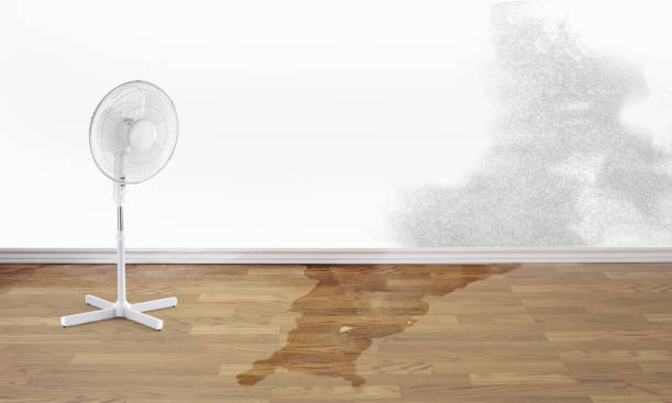 Best Commercial water damage restoration  in La Cresta, CA