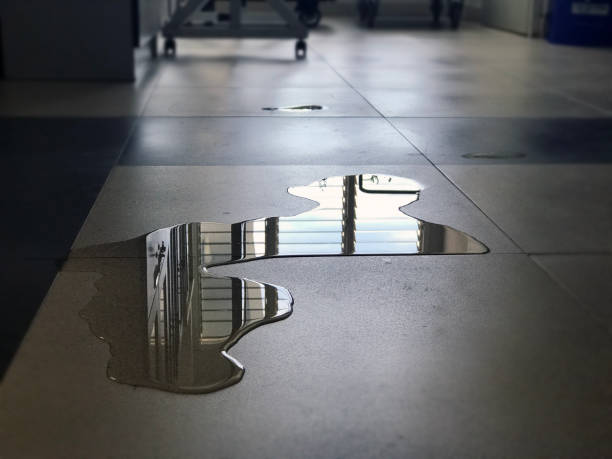 Best Flood restoration services  in La Cresta, CA