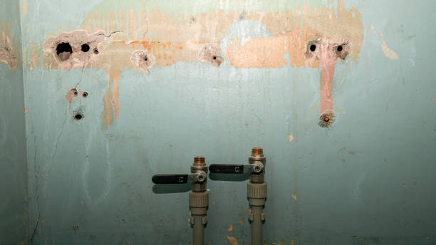 Best Ceiling water damage repair  in La Cresta, CA
