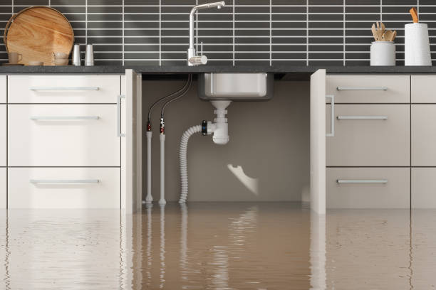Best Carpet water damage restoration  in La Cresta, CA