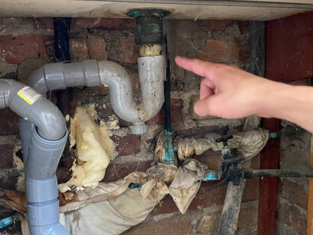 Best Professional water damage repair  in La Cresta, CA