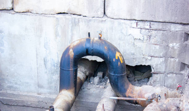 Best Water damage cleanup near me  in La Cresta, CA