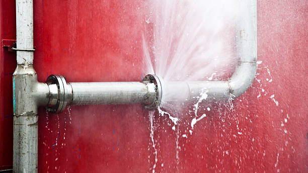 Best Water damage cleanup near me  in La Cresta, CA
